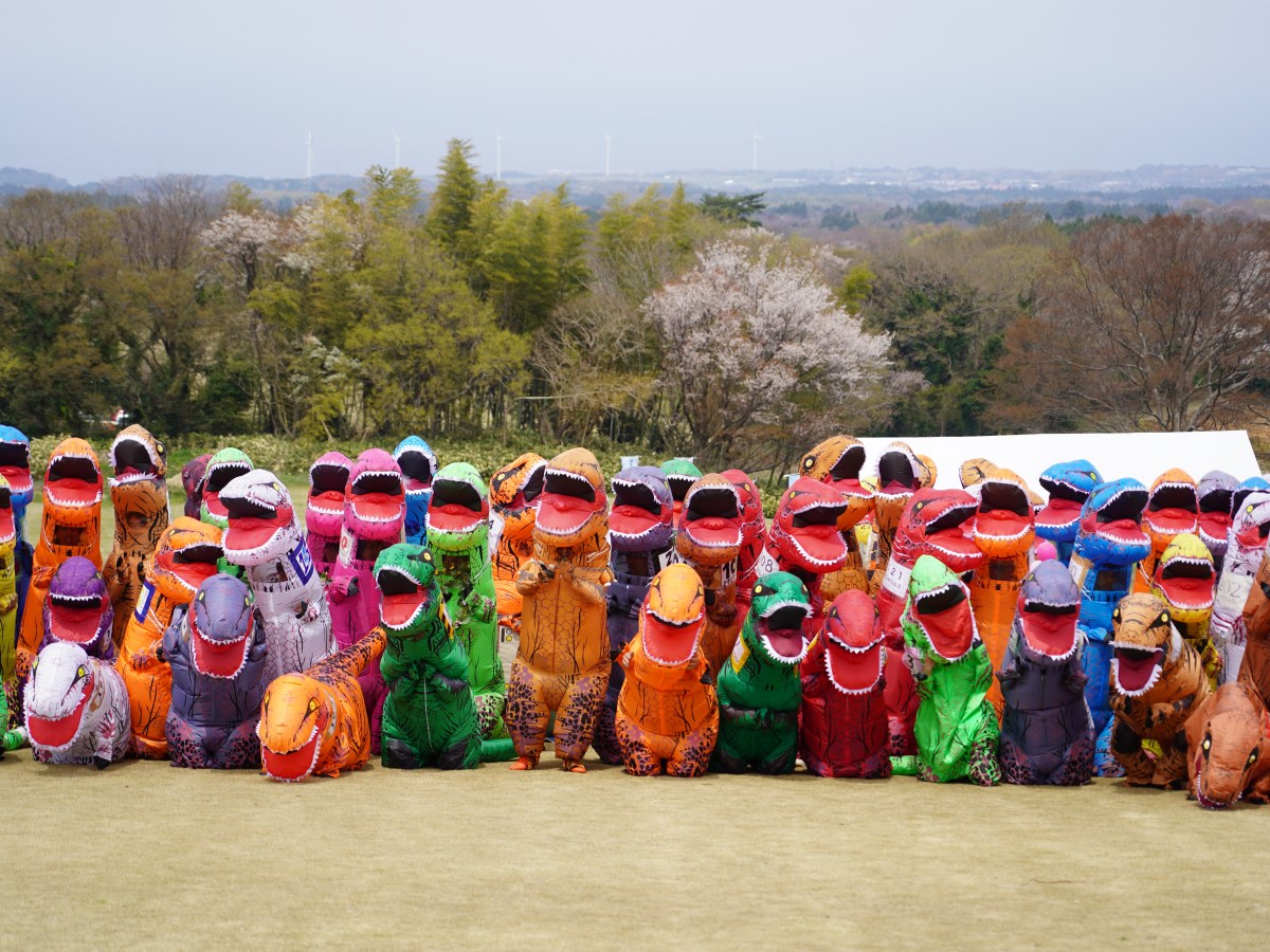 ティラノサウルスレースJAPAN 2 のお知らせ